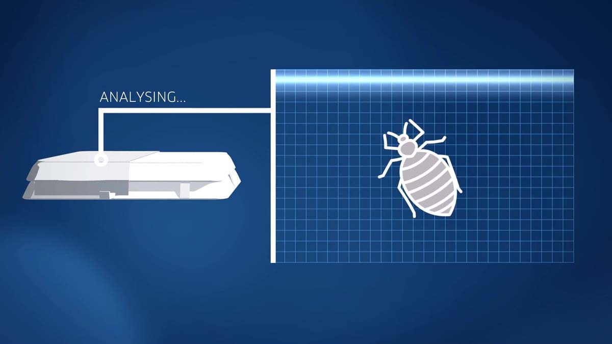 spottapartnerscleaningcompanybedbugprotectionbpca2 spottapartnerscleaningcompanybedbugprotectionbpca2